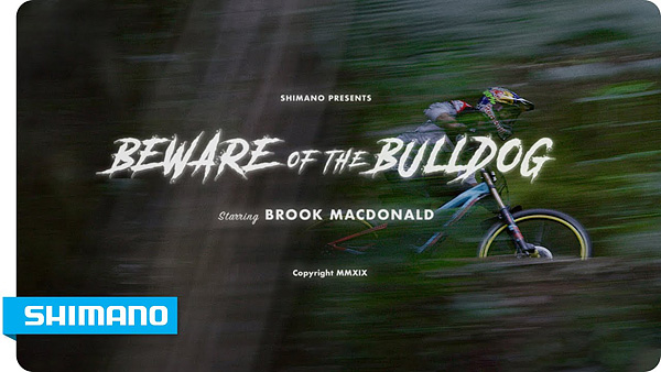 video-2020_beware-of-the-bulldogs-comeback_pic.jpg