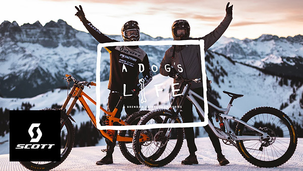 video-2020_dogs-life-ep2-chatel_pic.jpg