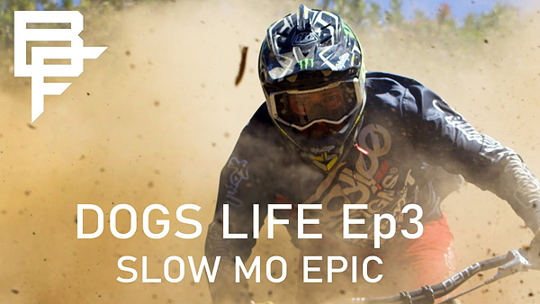 video-2020_slow-mo-epic-dogslife-ep3_forum.jpg