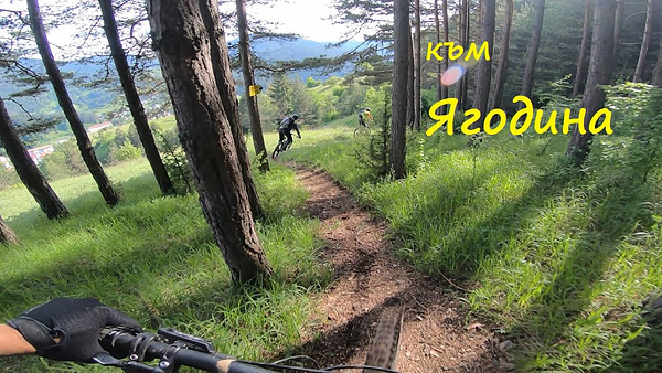 trails-video-2020_yagodina-blue-marks-trail_forum.jpg