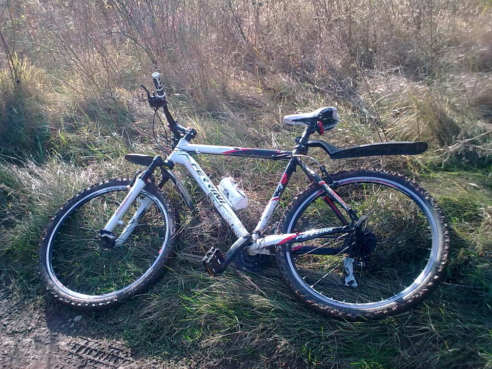 17102010_006.jpg