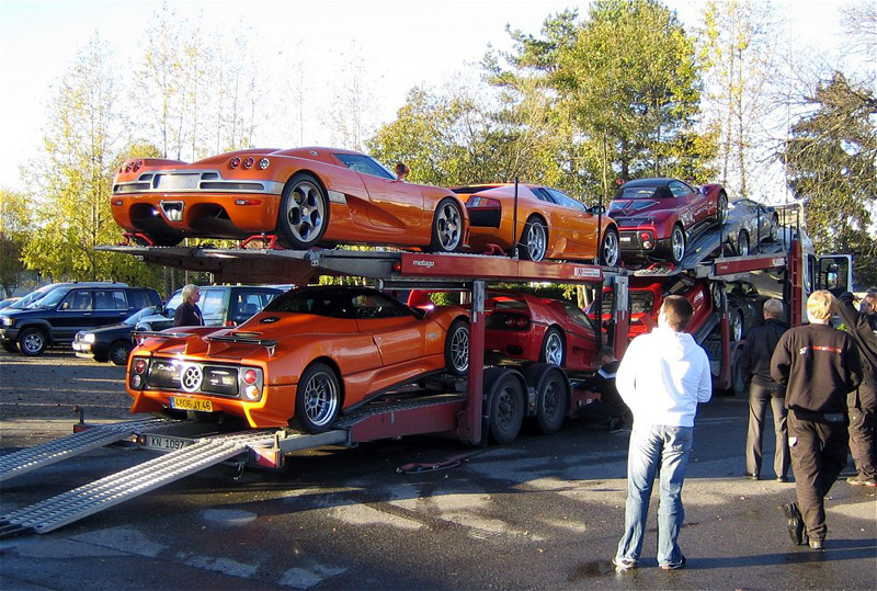 exotics_373.jpg