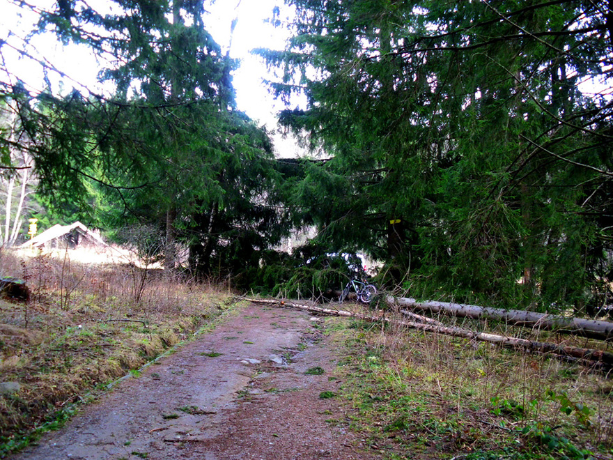 IMGP9082.JPG