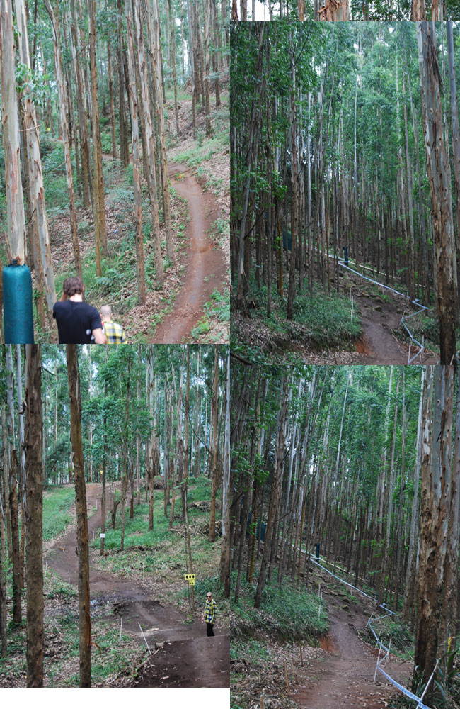 track2collagepietermaritzburg650.jpg