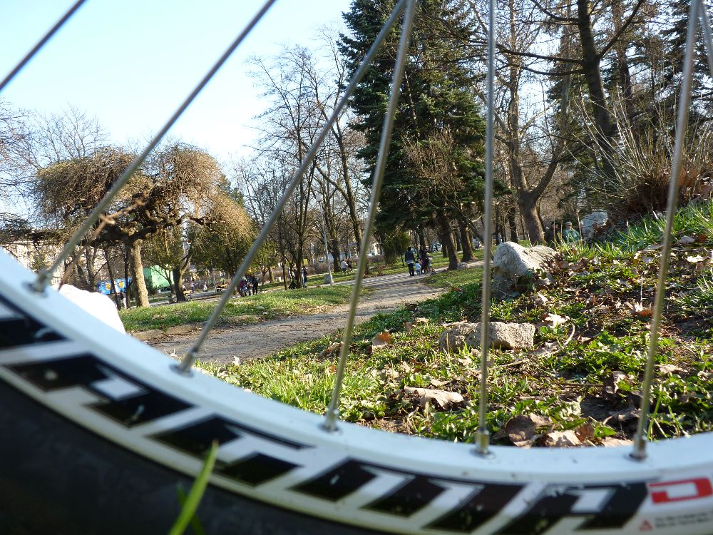 P1000512.JPG