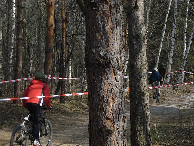 DSC06590.JPG