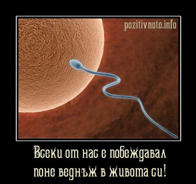 xaxaxa.jpg