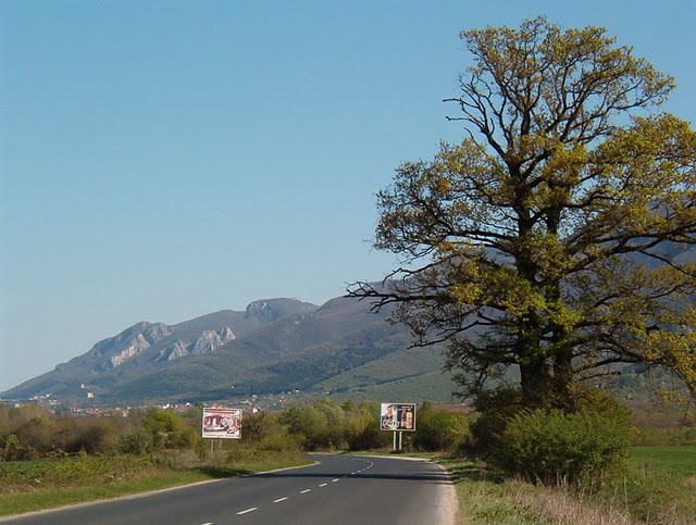 2011-04-23 020.jpg