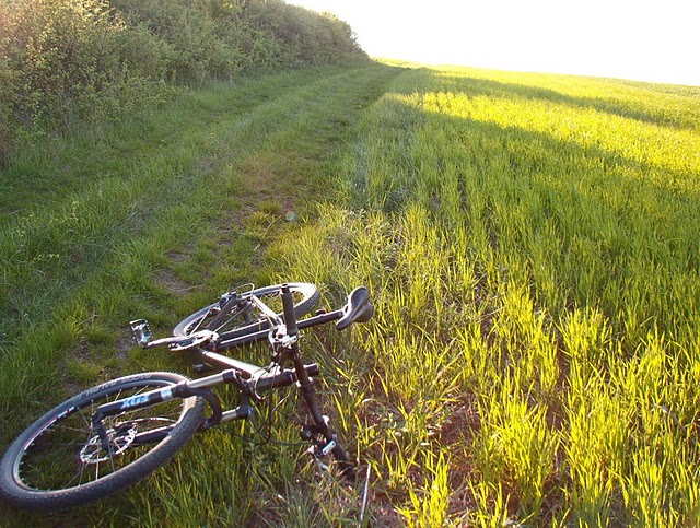 2011-04-23 049.jpg