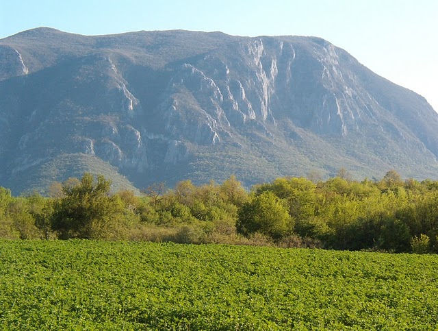 2011-04-23 035.jpg