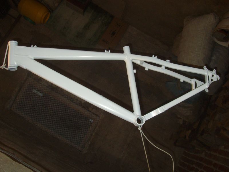 IMGP6594.JPG