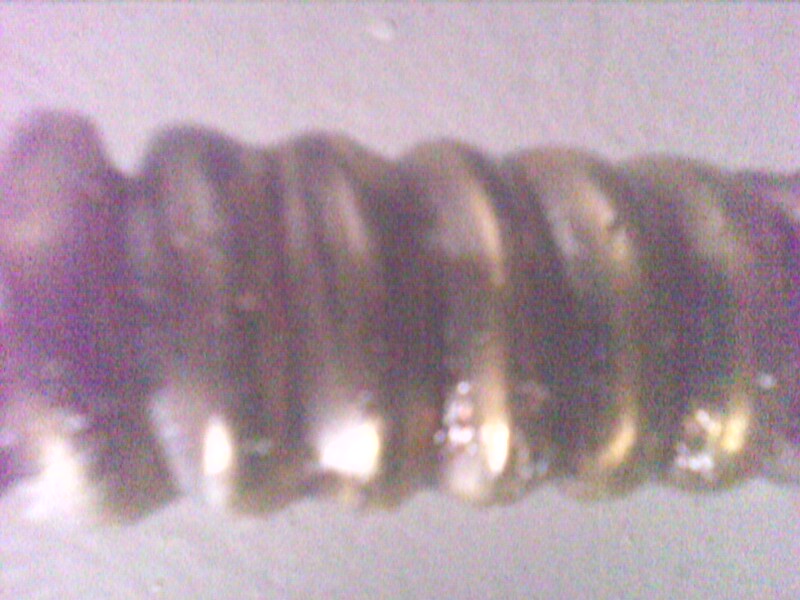 IMG0129A.jpg