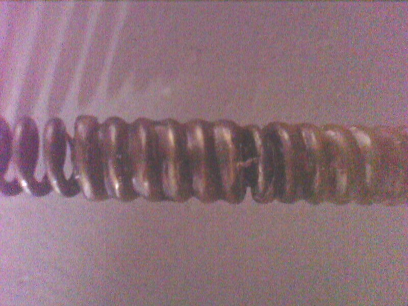 IMG0130A.jpg