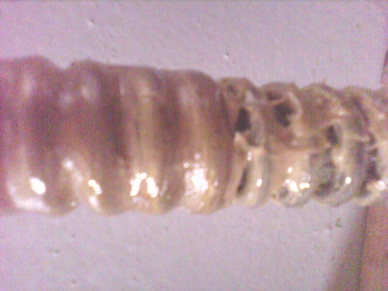 IMG0131A.jpg