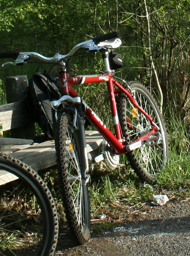bike2.jpg