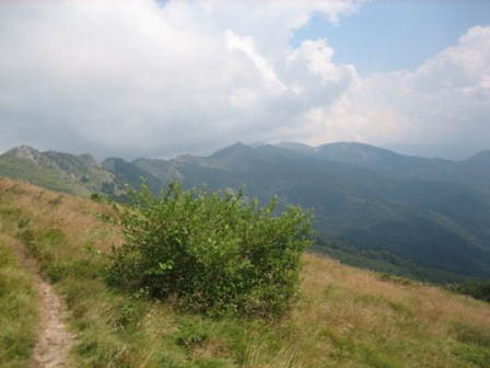 Picture 144.jpg