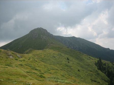 Picture 130.jpg