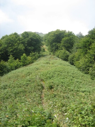 Picture 119.jpg