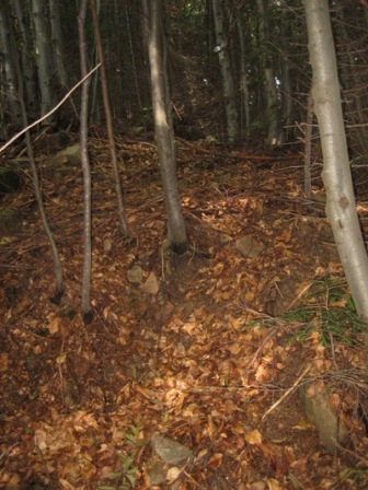Picture 113.jpg