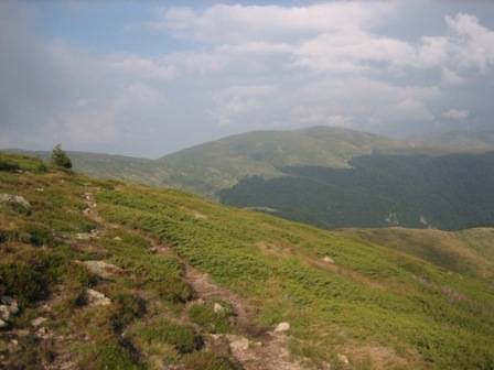 Picture 244.jpg