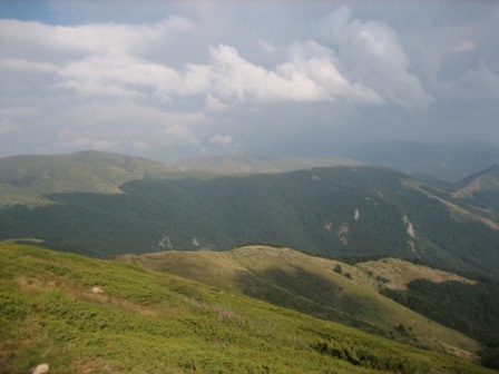 Picture 243.jpg