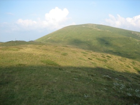 Picture 268.jpg