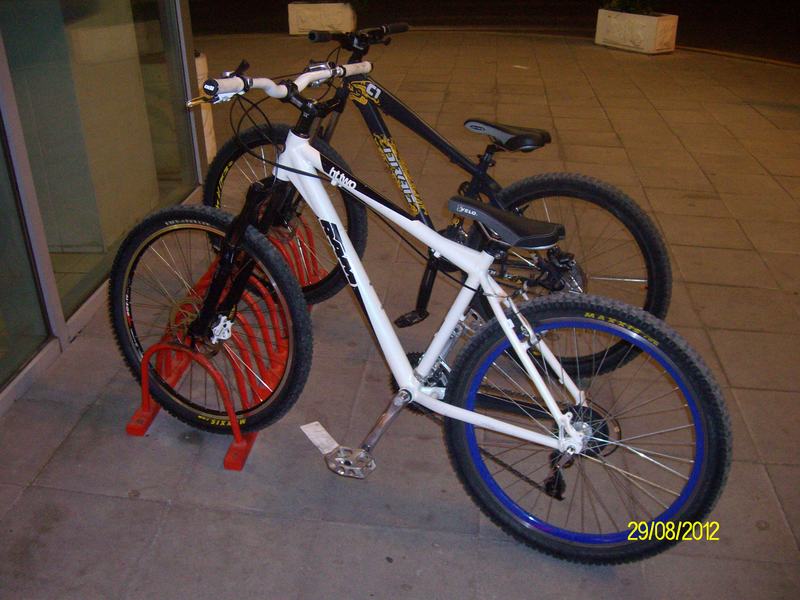 alim2897.jpg