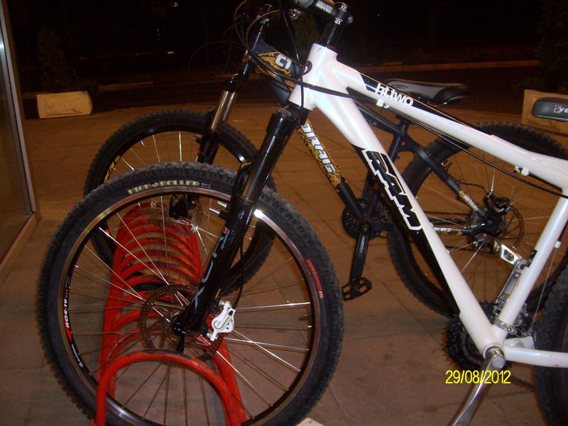 alim2901.jpg