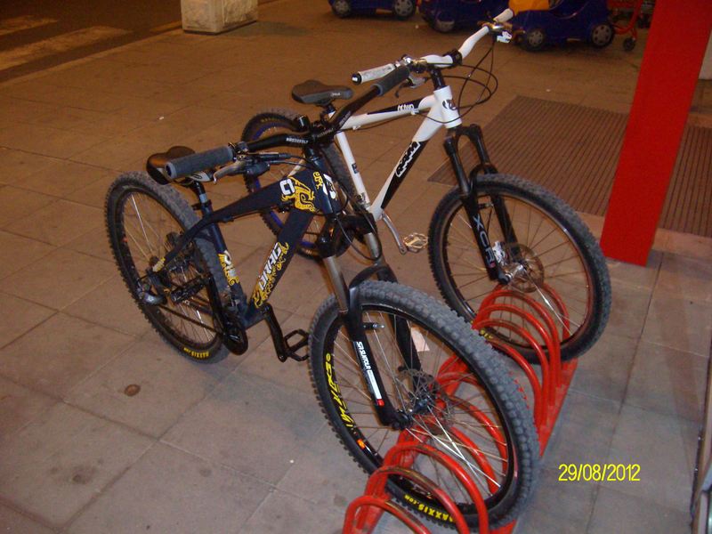 alim2899.jpg