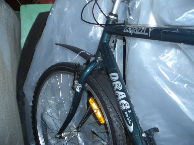 CIMG4381.JPG