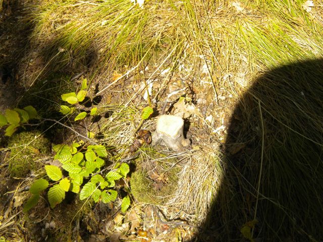 DSCN3297.JPG