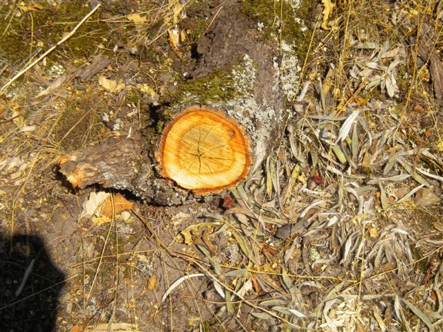 DSCN3298.JPG