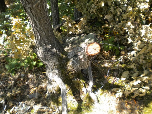 DSCN3311.JPG