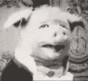 27381049.gif