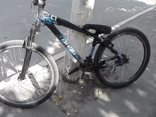 P280811_16.38.jpg