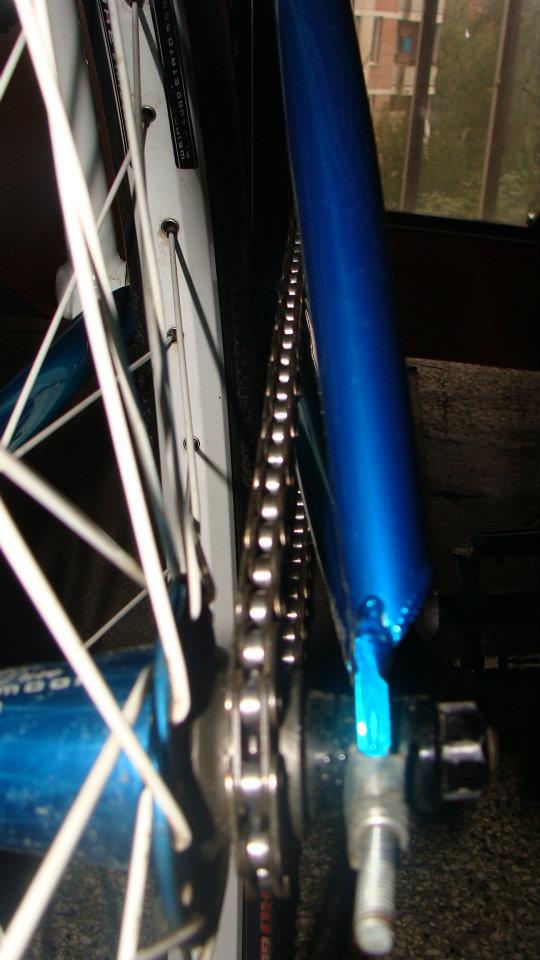 320005_297039503644164_100000143510006_1381303_1322587925_n.jpg