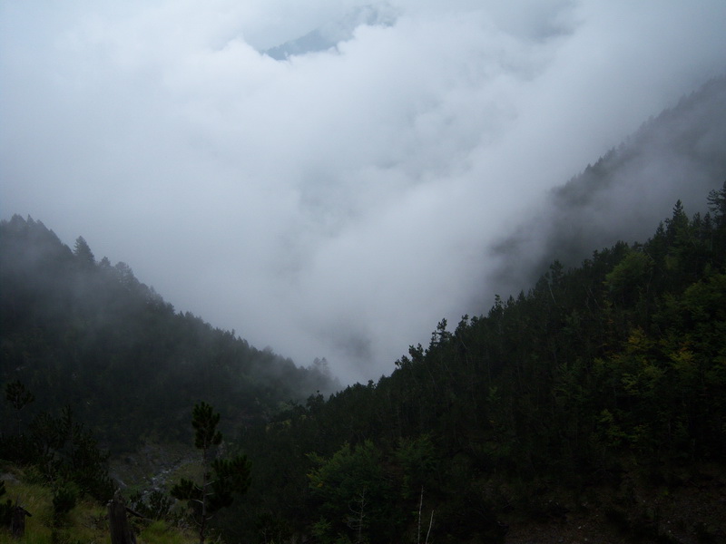 100_4537_resize.JPG