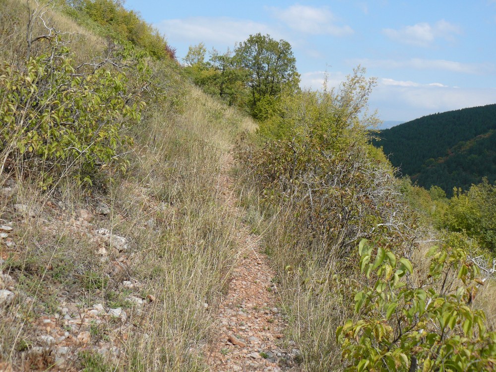 P1100413.JPG