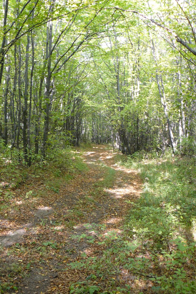 P1100391.JPG