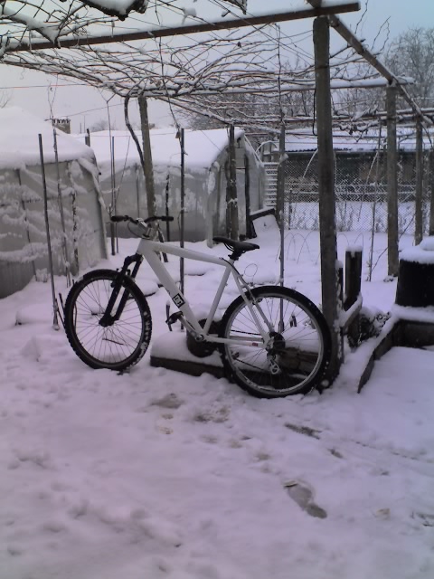 22-12-11_0948.jpg
