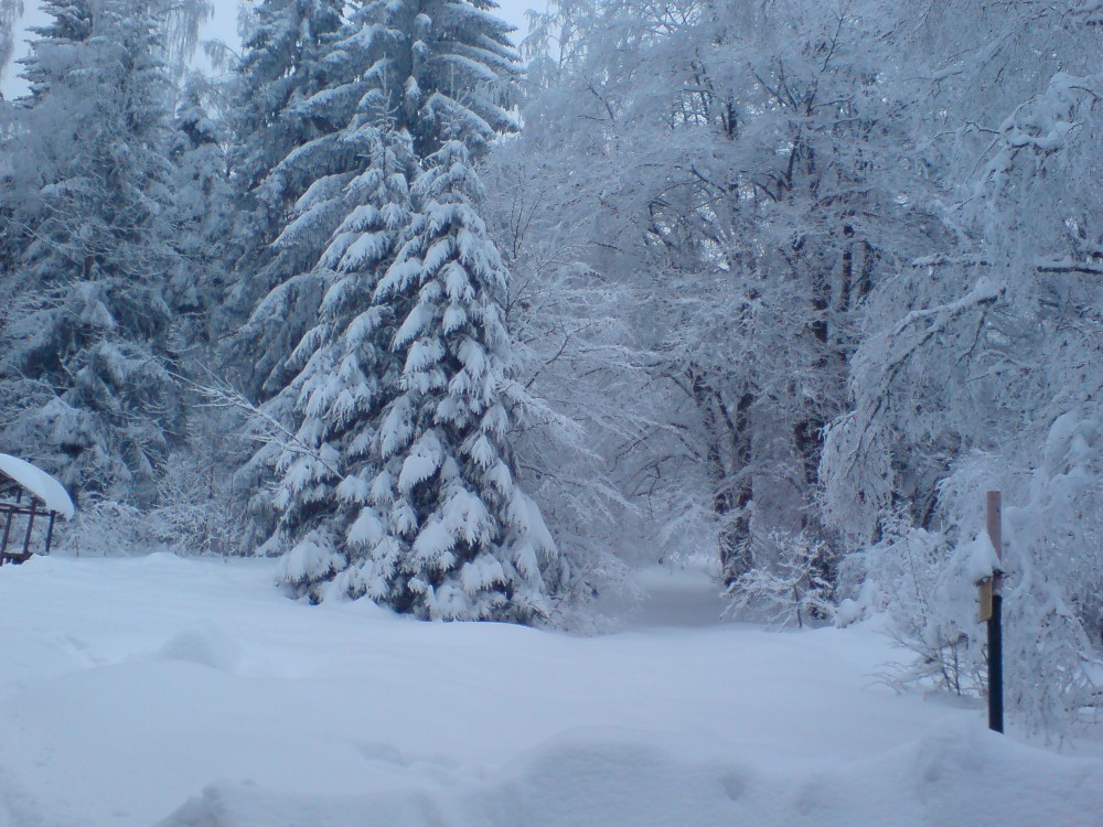 DSC03330-1.JPG