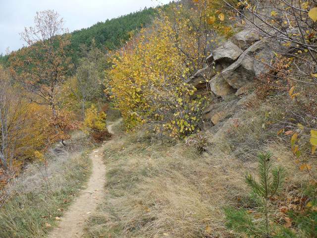 P1100490.jpg