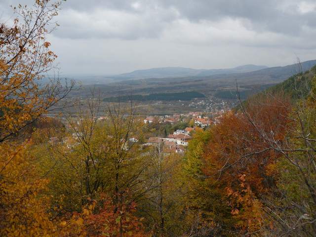 P1100491.jpg