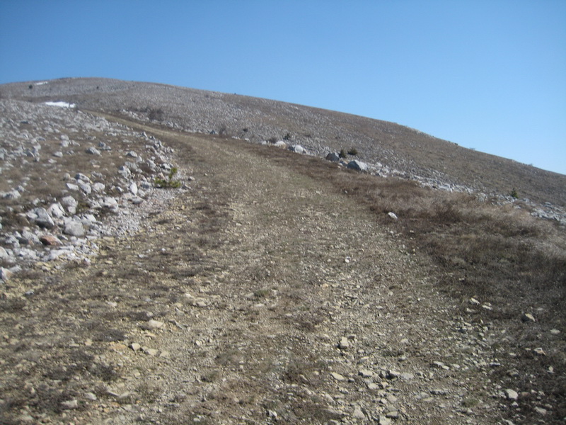 IMG_1535_resize.JPG