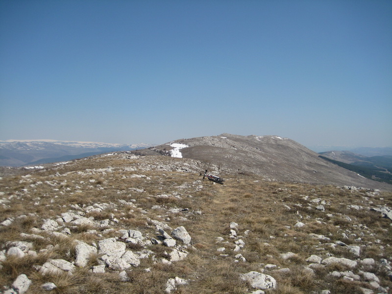 IMG_1545_resize.JPG