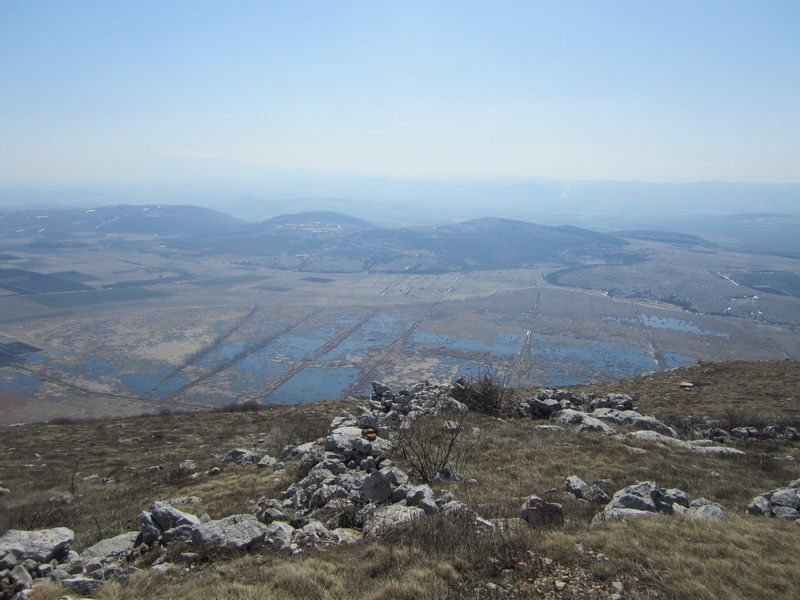IMG_3050_resize.JPG