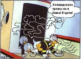 holandec.jpg
