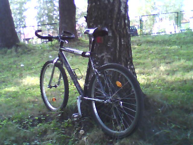 DSC00579.jpg