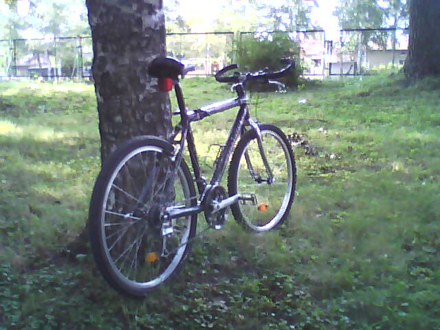 DSC00584.jpg