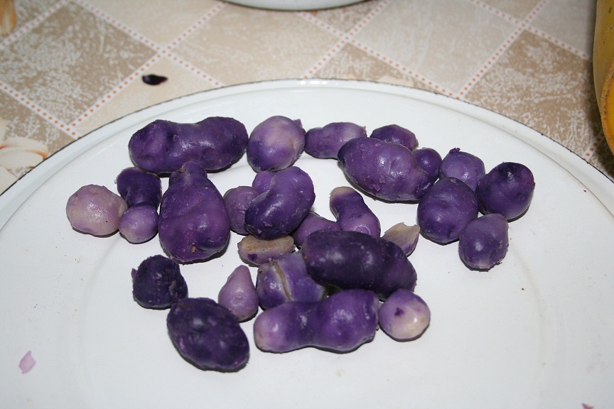 IMG_5998_s.jpg
